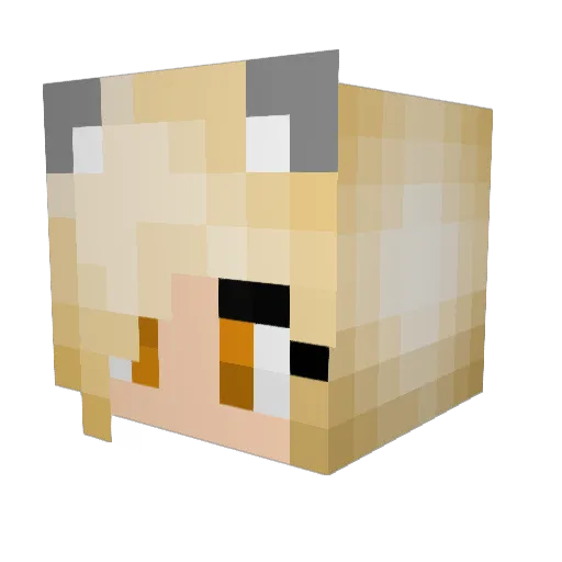 WolfSqueel Minecraft avatar head, 3D render