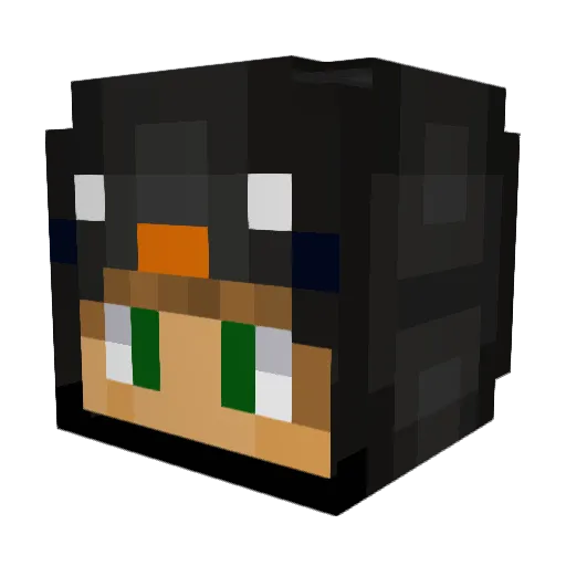 WolfStorm11223 Minecraft avatar head, 3D render