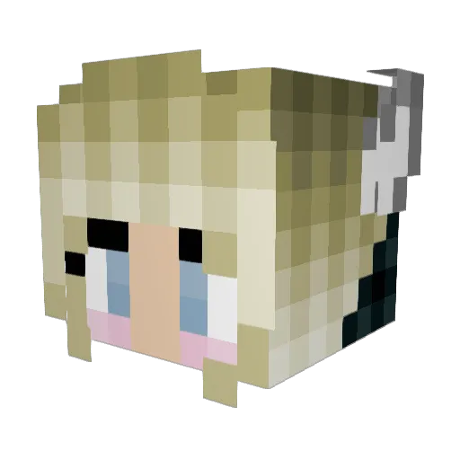 WolfStorm9 Minecraft avatar head, 3D render