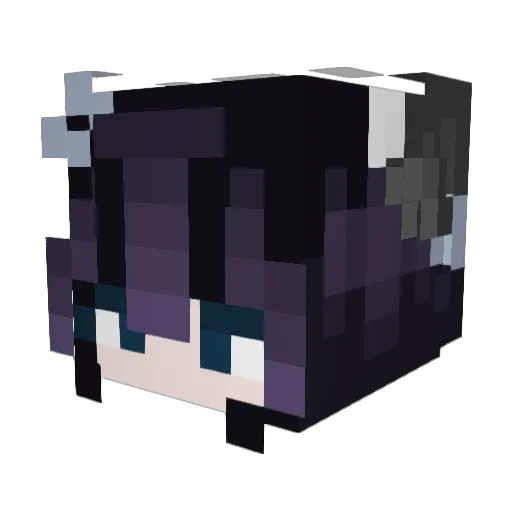 WolfStripes162 Minecraft avatar head, 3D render