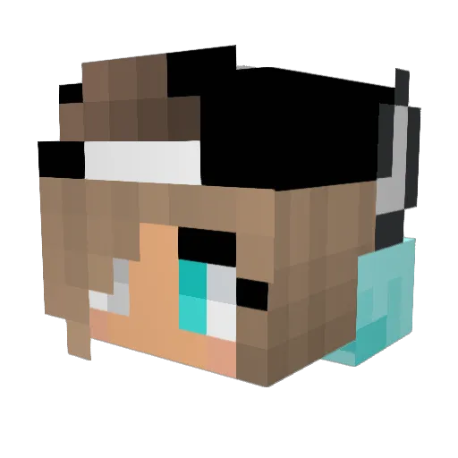 WolfTDM123 Minecraft avatar head, 3D render