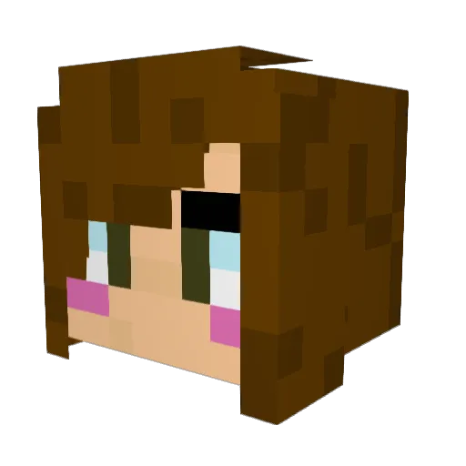 WolfTamer1201 Minecraft avatar head, 3D render