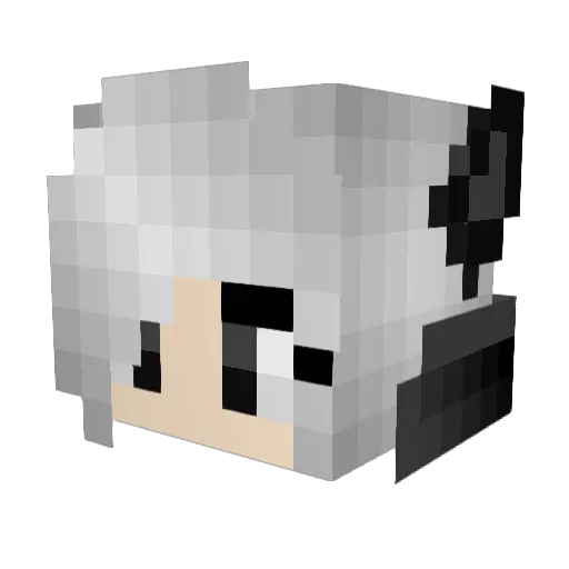 WolfWarrior1 Minecraft avatar head, 3D render