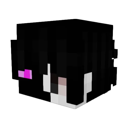 WolfZombieFR Minecraft avatar head, 3D render