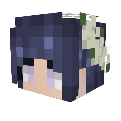 Wolf_75 Minecraft avatar head, 3D render