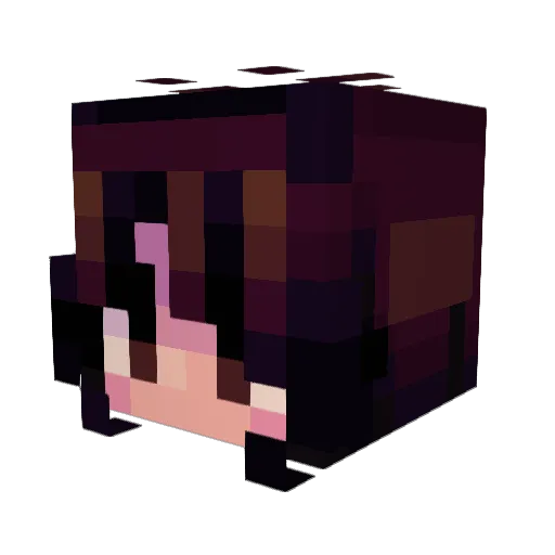 Wolf_Boi_ Minecraft avatar head, 3D render