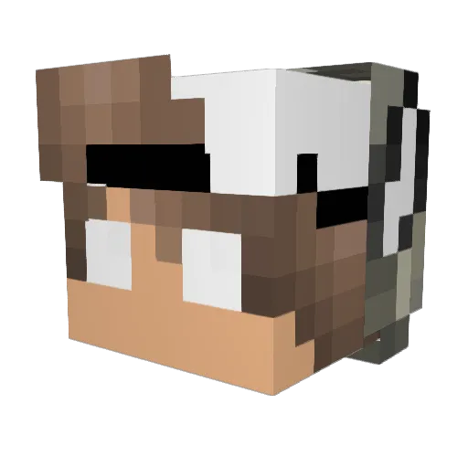 Wolf_Boy909 Minecraft avatar head, 3D render