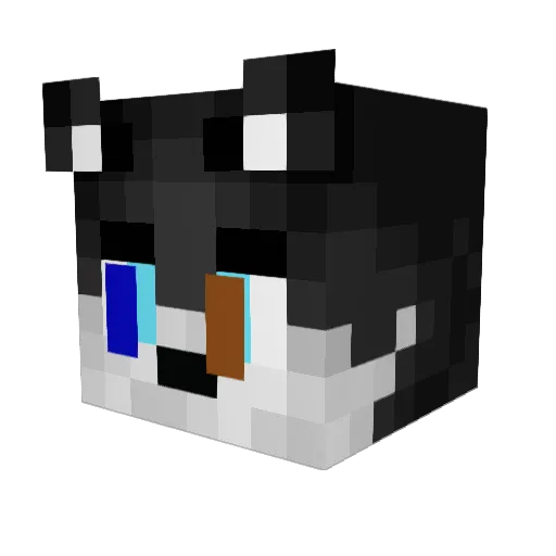 Wolf_Bro2008 Minecraft avatar head, 3D render