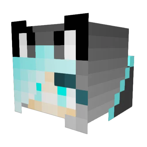 Wolf_Charmer_ Minecraft avatar head, 3D render