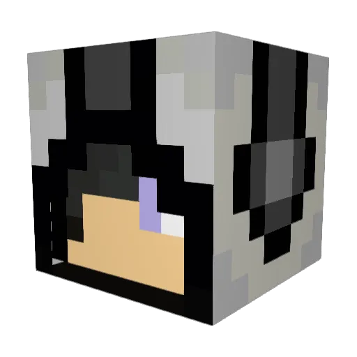 Wolf_Einstein Minecraft avatar head, 3D render