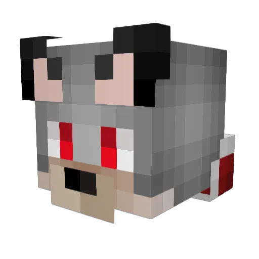 Wolf_King44 Minecraft avatar head, 3D render