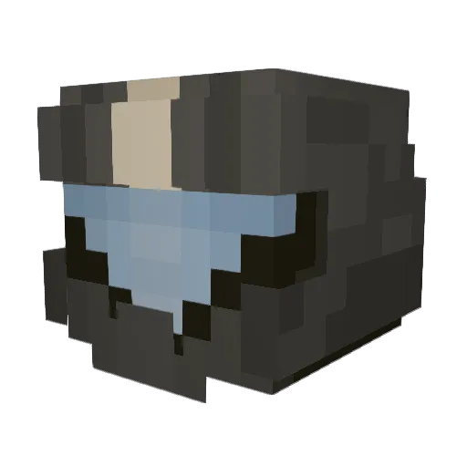 Wolf_Rider47 Minecraft avatar head, 3D render