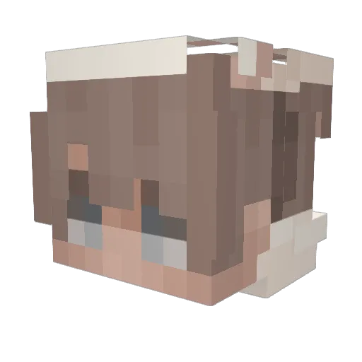 Wolf_SUS Minecraft avatar head, 3D render