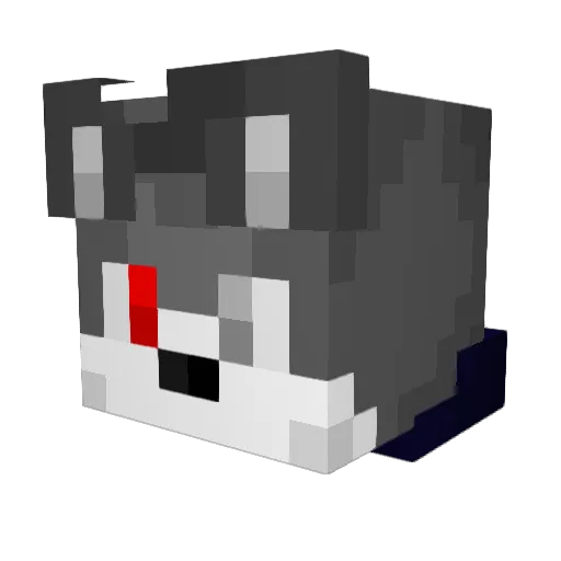 Wolf_Shinny Minecraft avatar head, 3D render