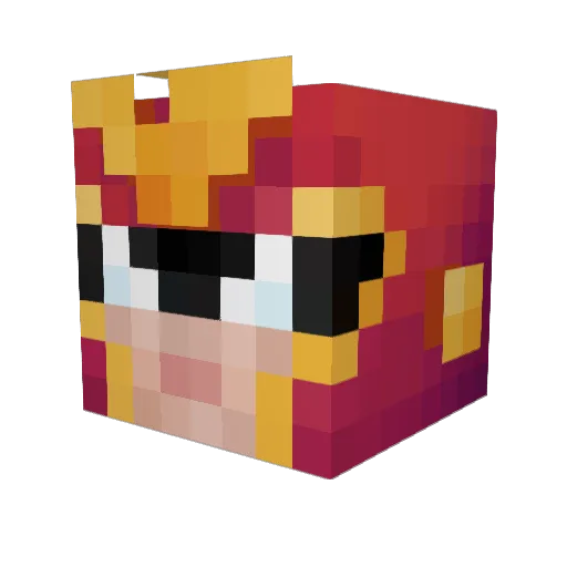 Wolf_Tamer29 Minecraft avatar head, 3D render