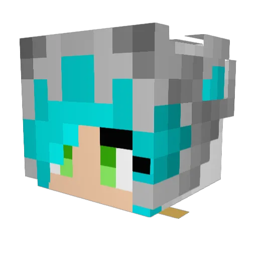 Wolf_Warrior_622 Minecraft avatar head, 3D render