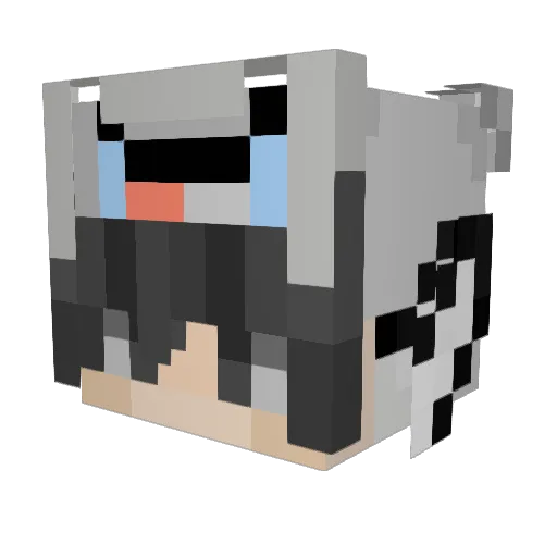 Wolf_YTVN Minecraft avatar head, 3D render