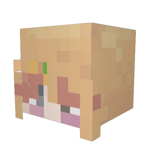 Wolfadoodle Minecraft avatar head, 3D render