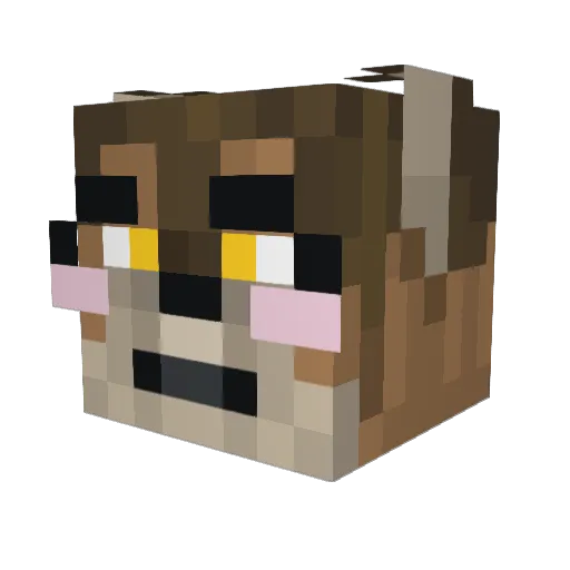 Wolfalms Minecraft avatar head, 3D render