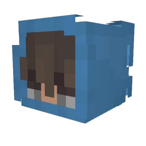Wolfan3 Minecraft avatar head, 3D render