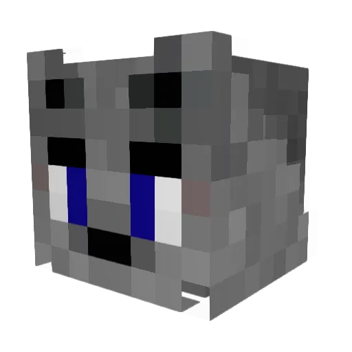 Wolfang101 Minecraft avatar head, 3D render