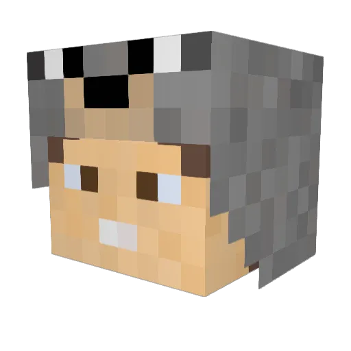 Wolfber Minecraft avatar head, 3D render