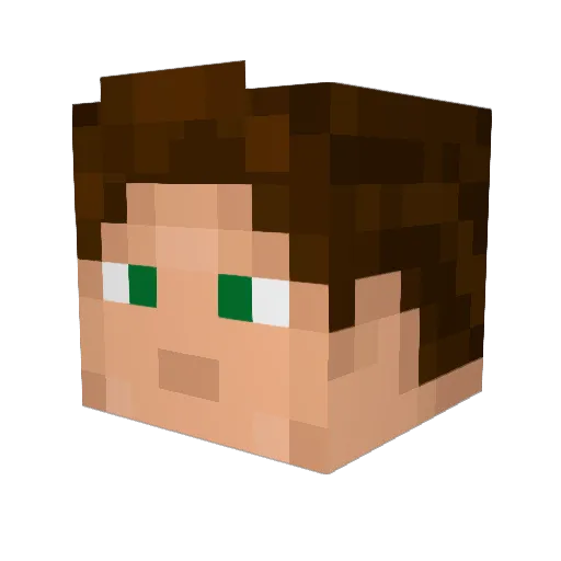 Wolfboy451 Minecraft avatar head, 3D render