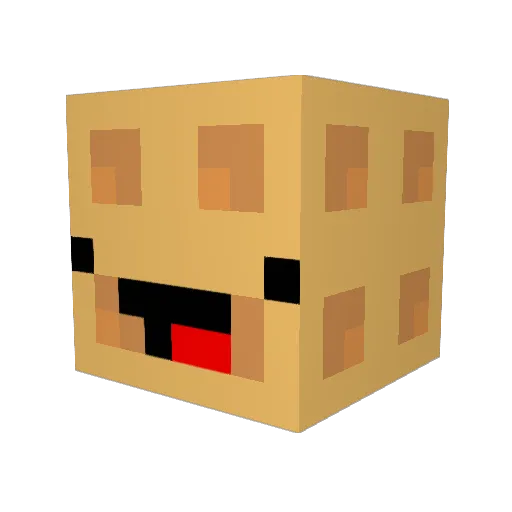 Wolfboy999 Minecraft avatar head, 3D render