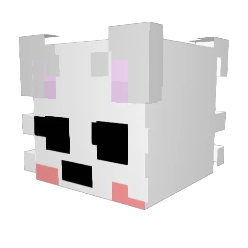 Wolfboy_benni Minecraft avatar head, 3D render