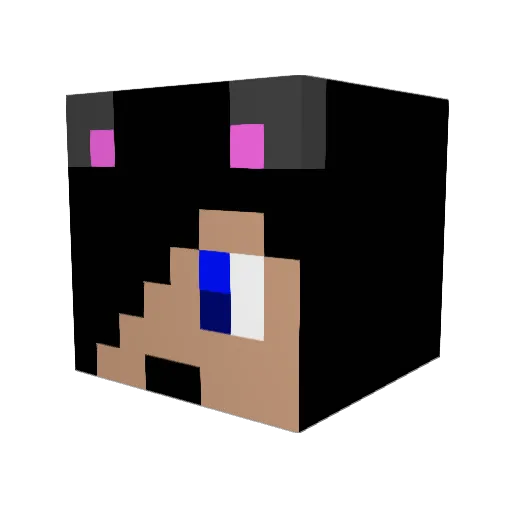 Wolfcat6789 Minecraft avatar head, 3D render