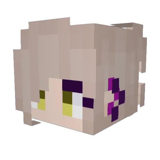 Wolfcoy Minecraft avatar head, 3D render