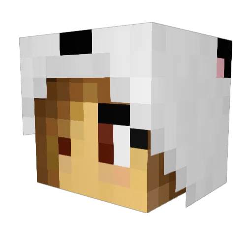 Wolfdarne Minecraft avatar head, 3D render