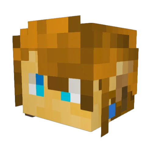 Wolfdogpro Minecraft avatar head, 3D render