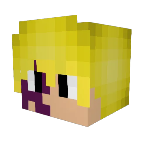 Wolfeeboy Minecraft avatar head, 3D render