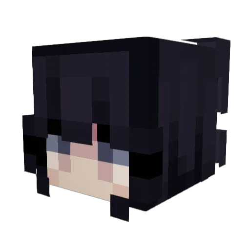 Wolfem_ Minecraft avatar head, 3D render