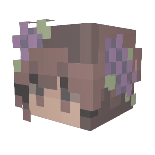 WolfenSaphire Minecraft avatar head, 3D render