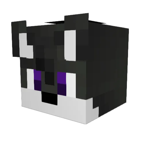 Wolfer294 Minecraft avatar head, 3D render