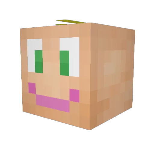 Wolfex89 Minecraft avatar head, 3D render