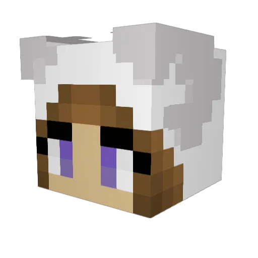 Wolfey22 Minecraft avatar head, 3D render
