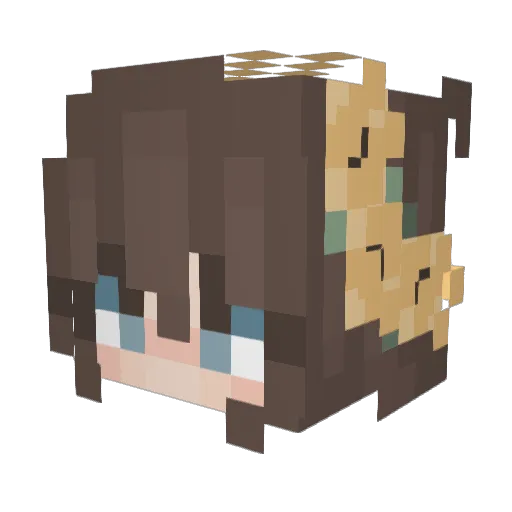 Wolffe3612 Minecraft avatar head, 3D render