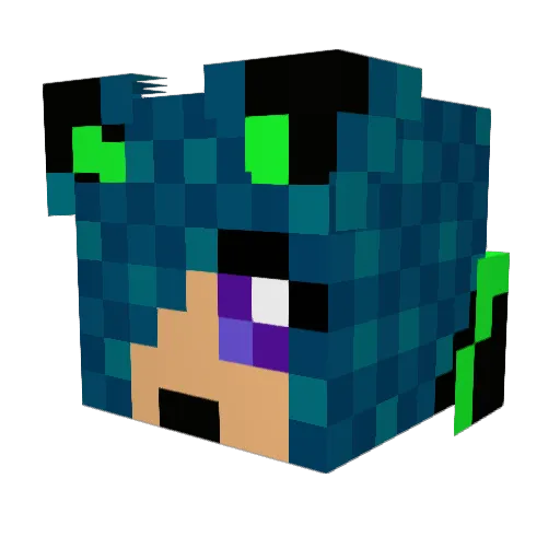 Wolffen_Tamer Minecraft avatar head, 3D render