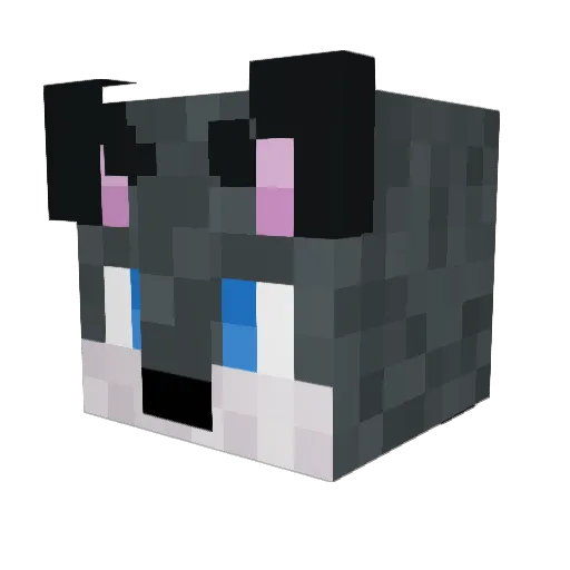 Wolffindor Minecraft avatar head, 3D render
