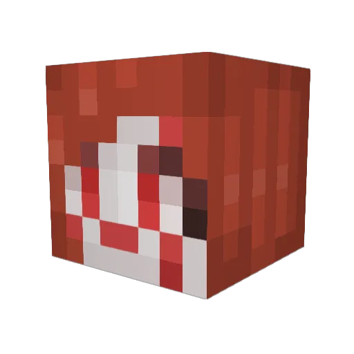 Wolfgang2017 Minecraft avatar head, 3D render