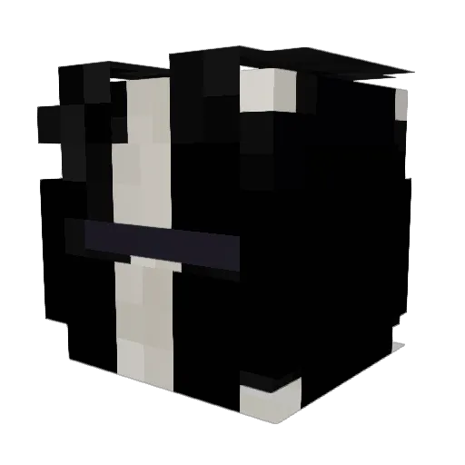 Wolfgang2502 Minecraft avatar head, 3D render