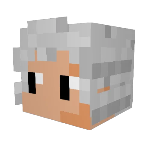 Wolfgang___ Minecraft avatar head, 3D render