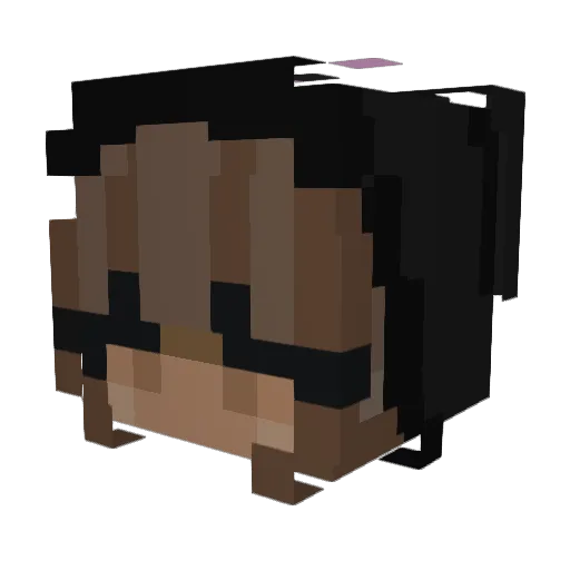 Wolfgirl542 Minecraft avatar head, 3D render