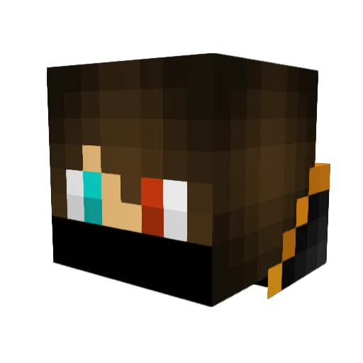 Wolfhound8464 Minecraft avatar head, 3D render
