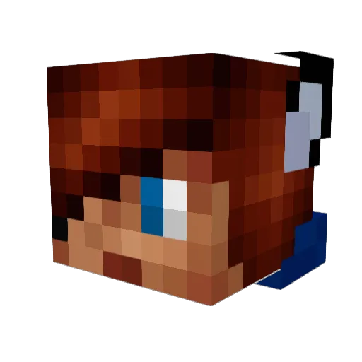 Wolfi305 Minecraft avatar head, 3D render