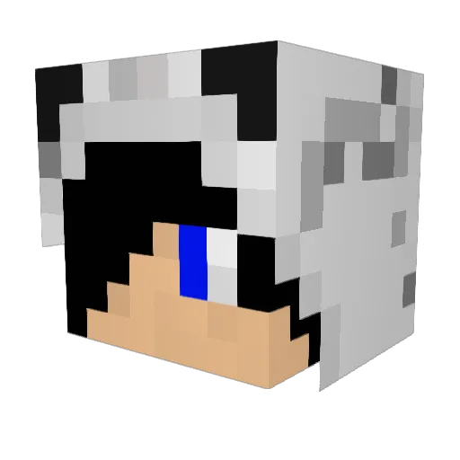Wolfi87 Minecraft avatar head, 3D render