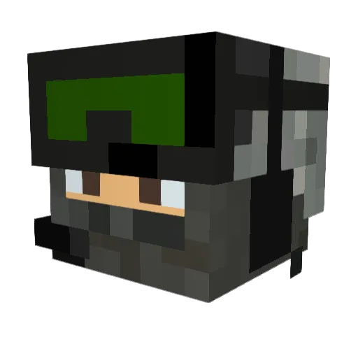 WolfiSnep32 Minecraft avatar head, 3D render